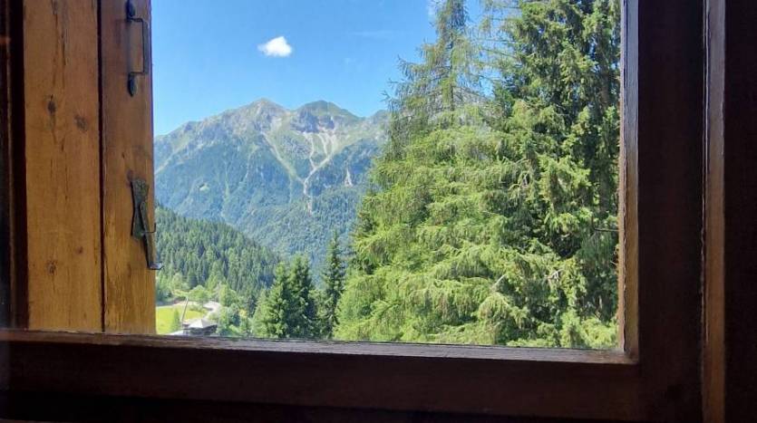 Vista dalla Camera